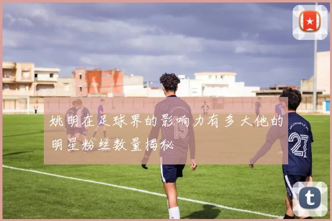 姚明在足球界的影响力有多大他的明星粉丝数量揭秘