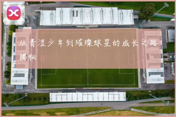 从青涩少年到璀璨球星的成长之路揭秘