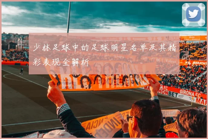 少林足球中的足球明星名单及其精彩表现全解析