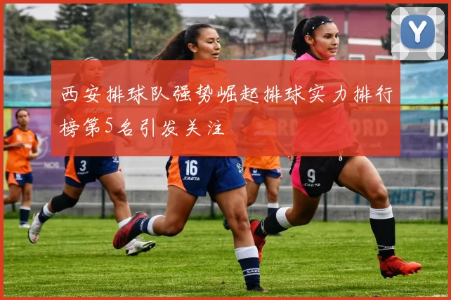 西安排球队强势崛起排球实力排行榜第5名引发关注
