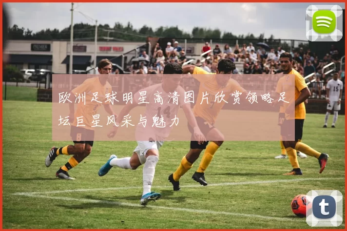 欧洲足球明星高清图片欣赏领略足坛巨星风采与魅力