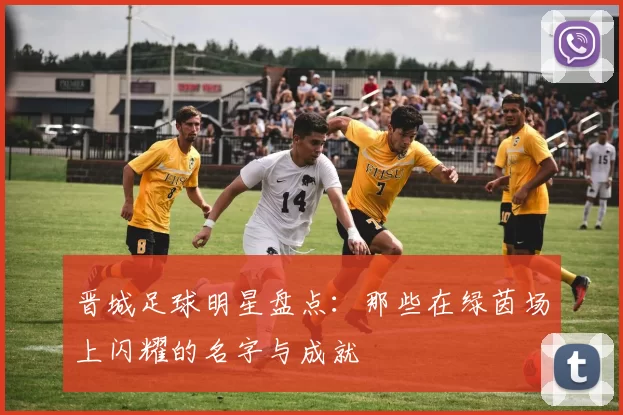 晋城足球明星盘点：那些在绿茵场上闪耀的名字与成就
