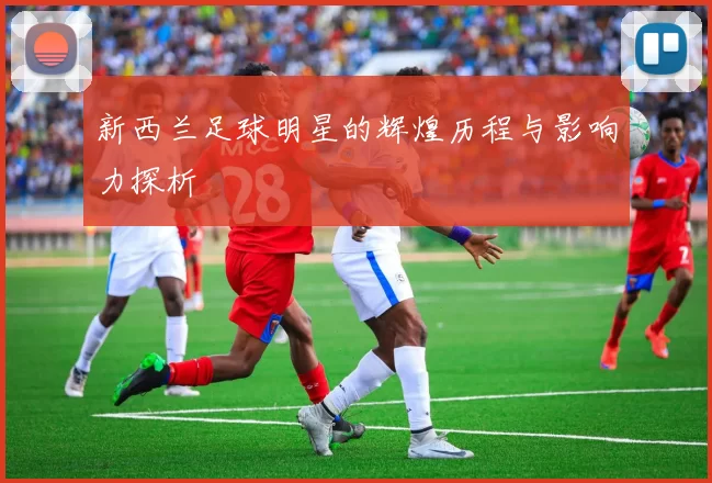 新西兰足球明星的辉煌历程与影响力探析