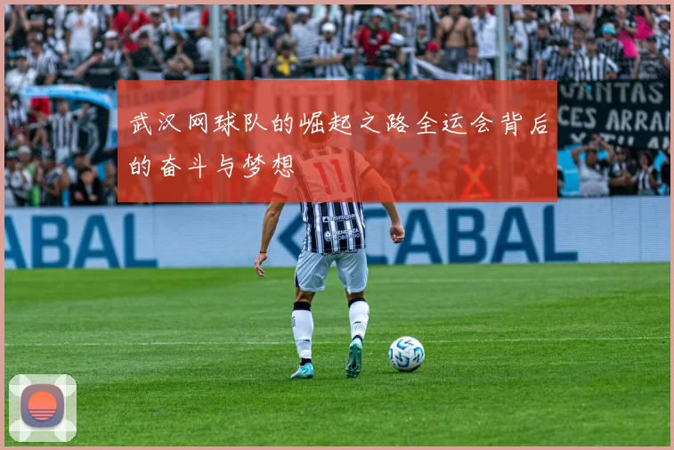武汉网球队的崛起之路全运会背后的奋斗与梦想
