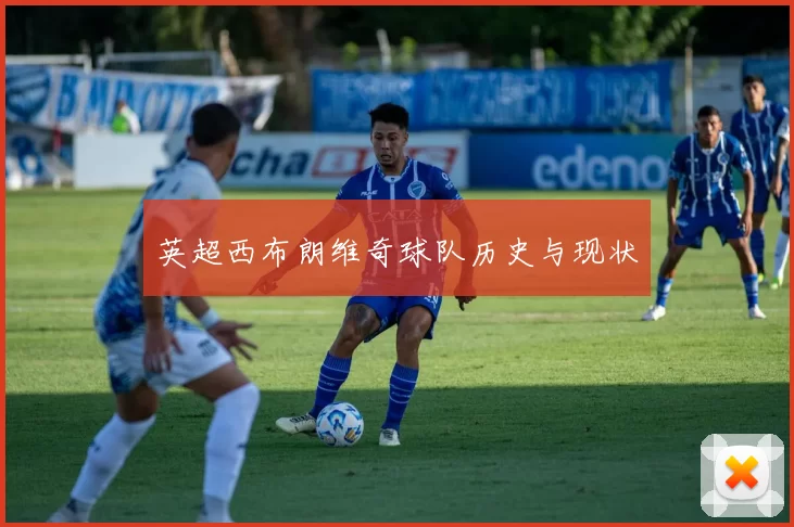 英超西布朗维奇球队历史与现状