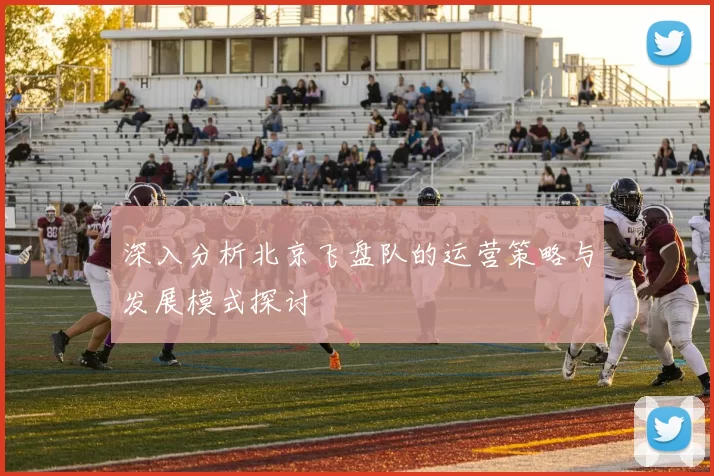 深入分析北京飞盘队的运营策略与发展模式探讨