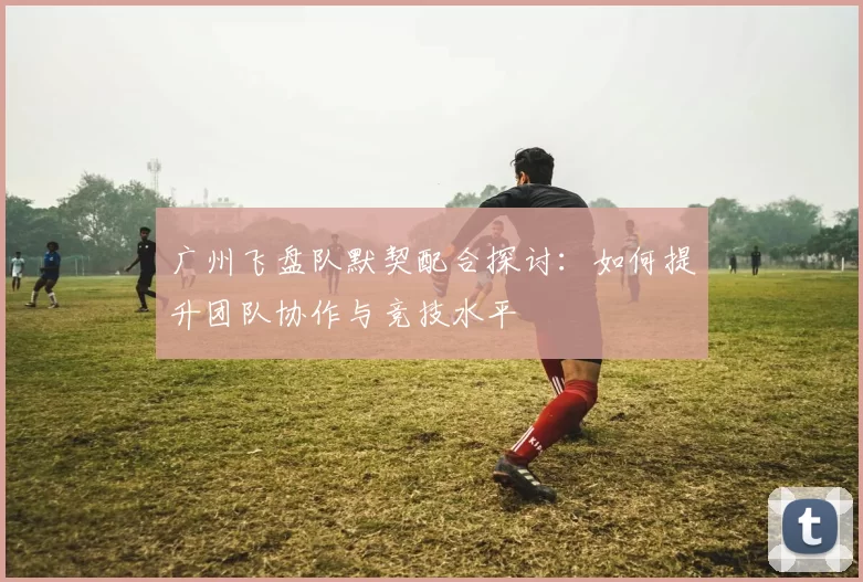 广州飞盘队默契配合探讨：如何提升团队协作与竞技水平
