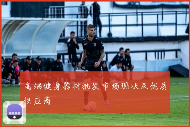 高端健身器材批发市场现状及优质供应商