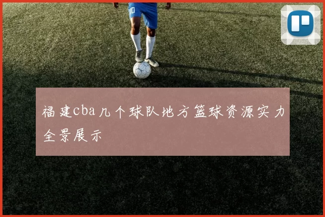 福建cba几个球队地方篮球资源实力全景展示