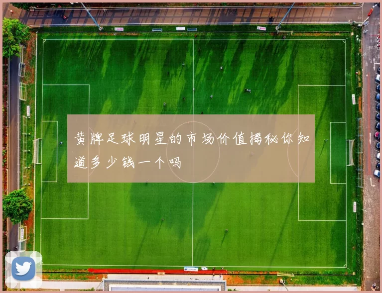 黄牌足球明星的市场价值揭秘你知道多少钱一个吗