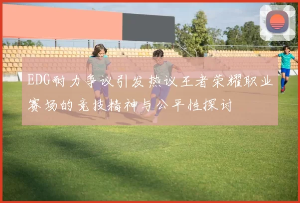 EDG耐力争议引发热议王者荣耀职业赛场的竞技精神与公平性探讨