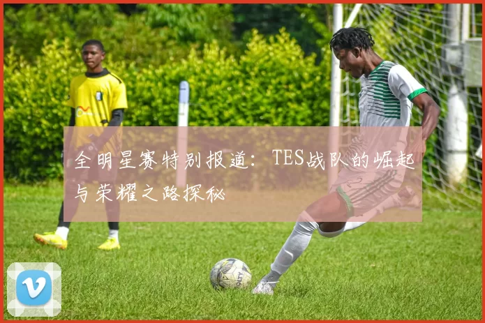 全明星赛特别报道：TES战队的崛起与荣耀之路探秘