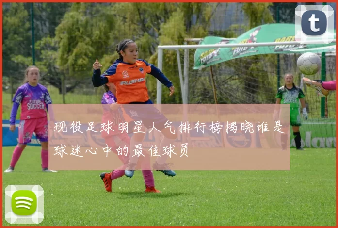 现役足球明星人气排行榜揭晓谁是球迷心中的最佳球员