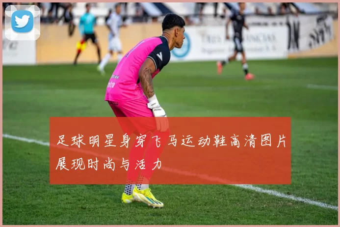 足球明星身穿飞马运动鞋高清图片展现时尚与活力