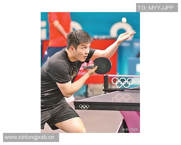 乒乓球的魅力与精神南京乒乓球队背后的故事与传承 乒乓球的魅力与精神南京乒乓球队背后的故事与传承