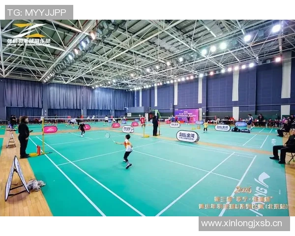 羽毛球技艺的深度解析：探秘北京羽毛球队的防守与反击策略