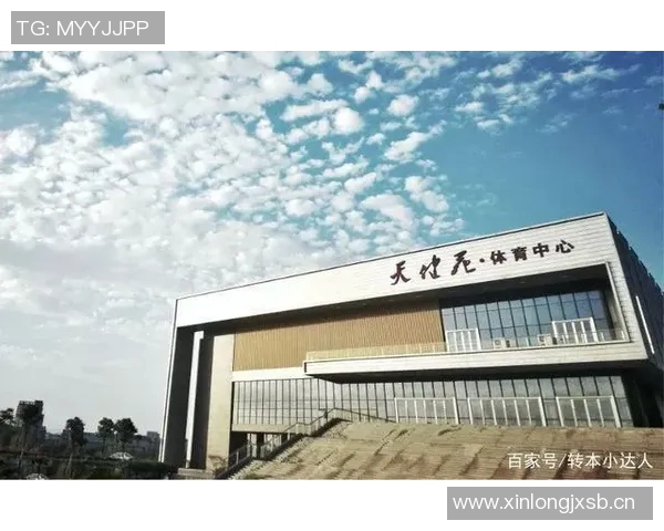 南京排球队近期状态分析与表现评估的全面研究报告