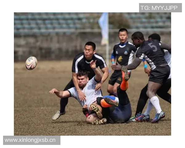 重庆极限运动队状态分析与发展潜力探讨